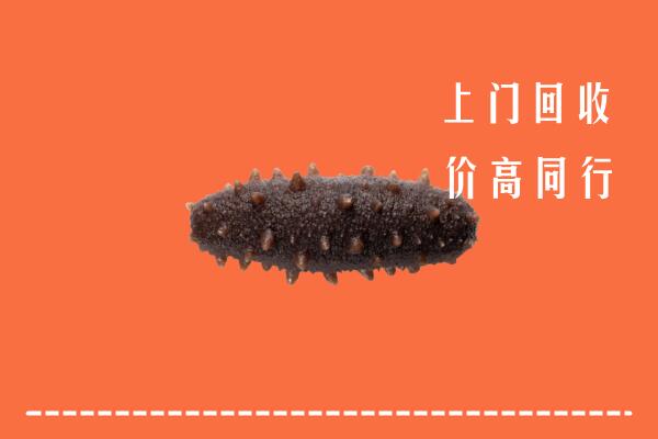高价求购：峰峰矿区回收海参